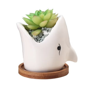 Succulent Pot Creative Cartoon Ceramic Flower Pots European-style