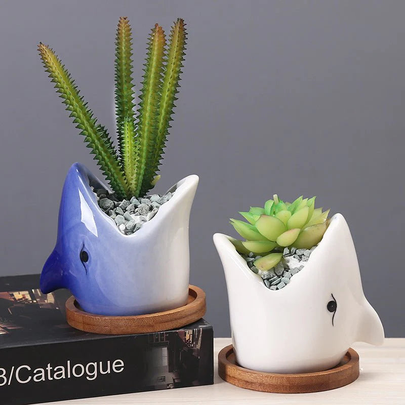 Succulent Pot Creative Cartoon Ceramic Flower Pots European-style