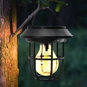 Solar Garden Light